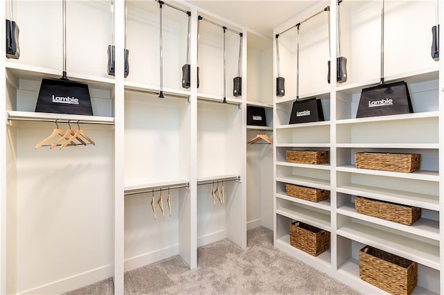 spacious closet featuring light carpet