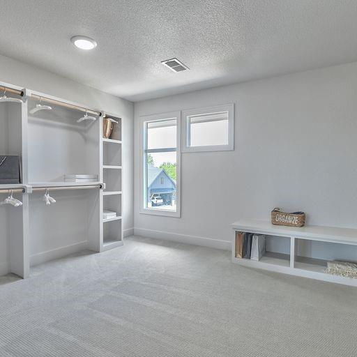 spacious closet featuring light carpet