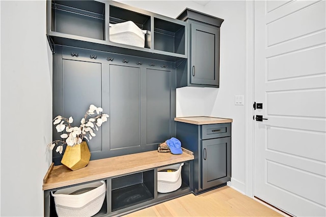 13028 S Constance St, Olathe, KS 66062 - mudroom featuring light wood-style floors