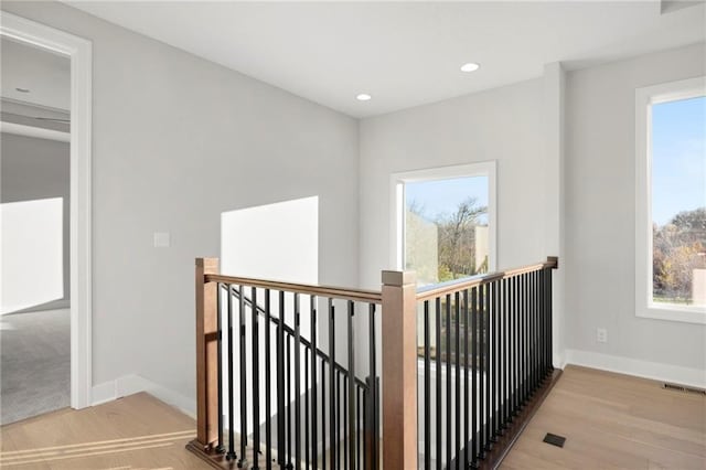 hall featuring light hardwood / wood-style floors and a wealth of natural light