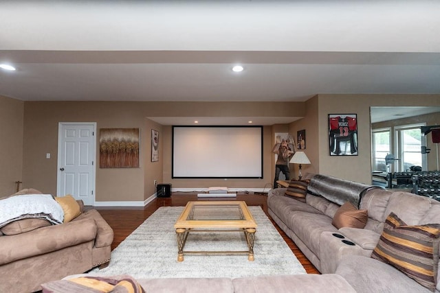 cinema with wood-type flooring