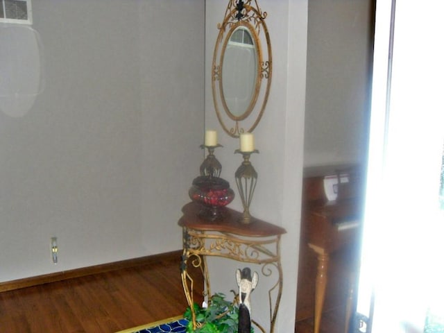 room details featuring wood-type flooring