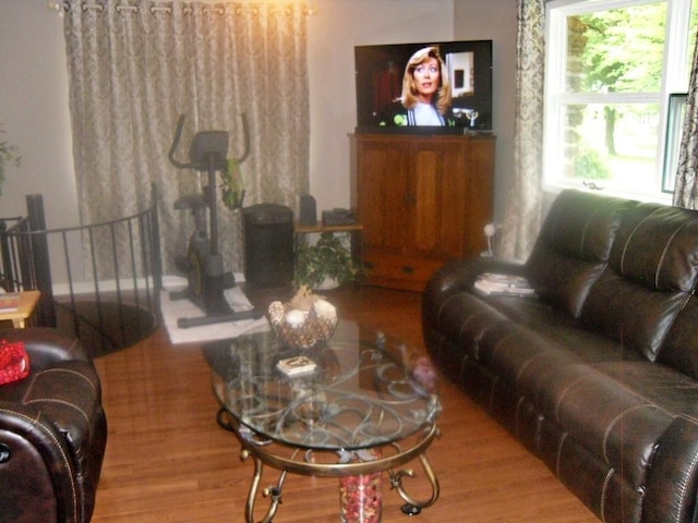 living room with hardwood / wood-style floors