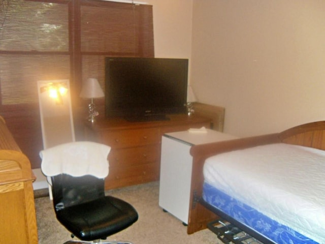 bedroom with light colored carpet