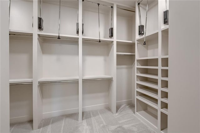 spacious closet with carpet