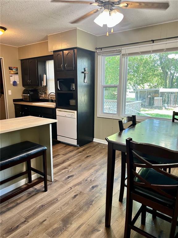 kitchen with backsplash, dark brown cabinets, white dishwasher, sink, and light hardwood / wood-style floors