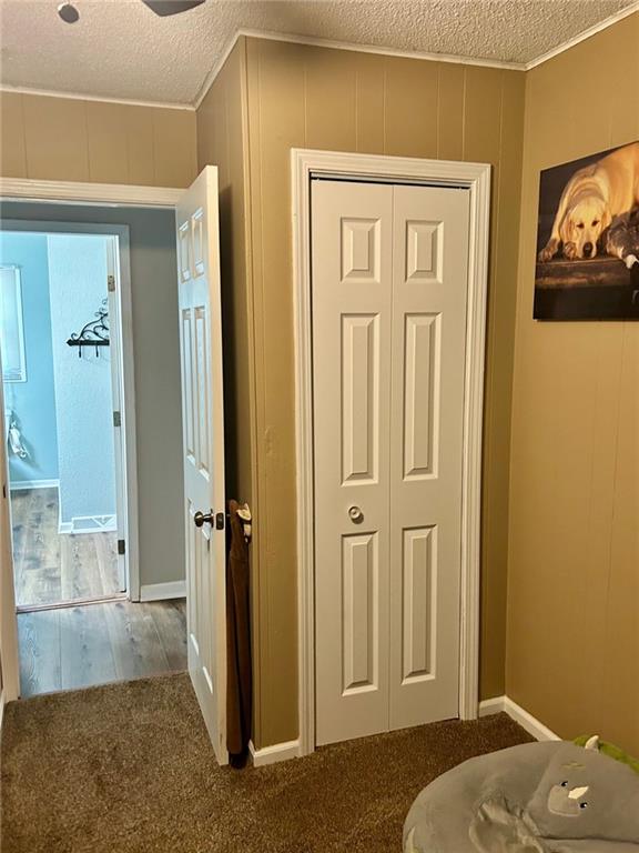 hallway with carpet floors and a textured ceiling