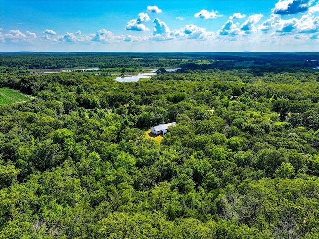 view of bird's eye view