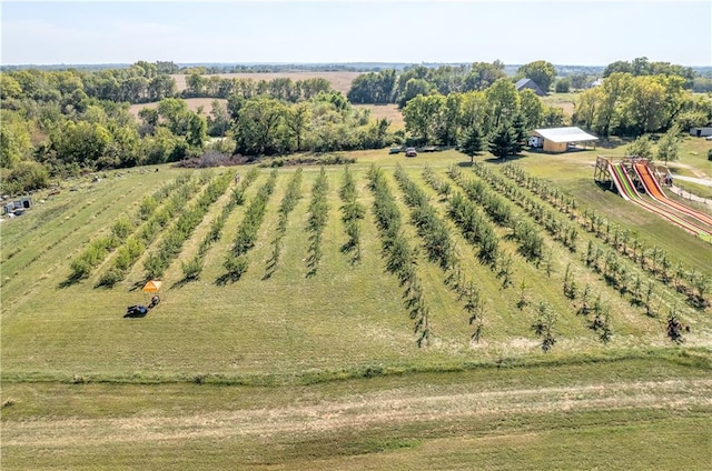 bird's eye view featuring a rural view