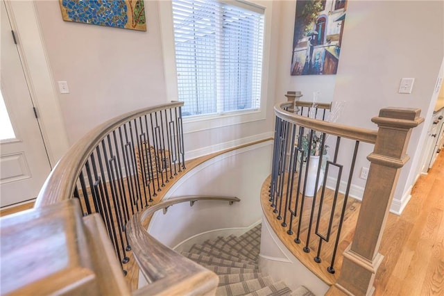 staircase featuring light hardwood / wood-style floors