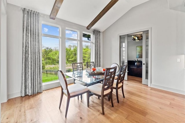 6101 NW 58th St, Kansas City, MO 64151 - dining room with light wood-style flooring and baseboards