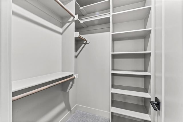 6101 NW 58th St, Kansas City, MO 64151 - view of walk in closet