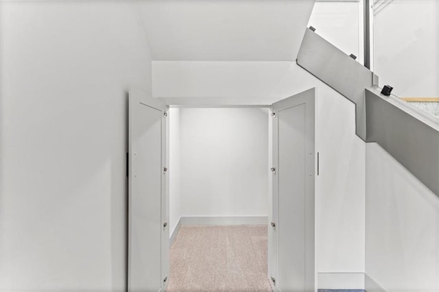 6101 NW 58th St, Kansas City, MO 64151 - walk in closet with carpet