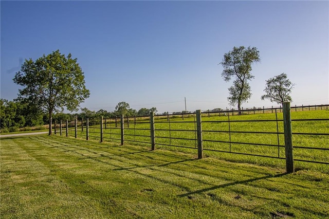 view of yard with a rural view