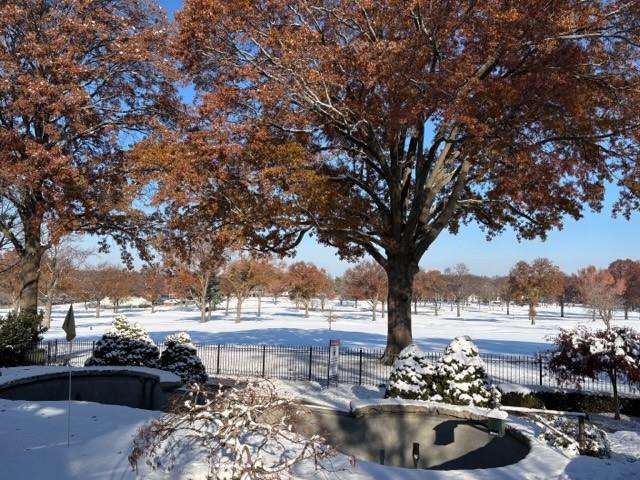 view of snowy yard