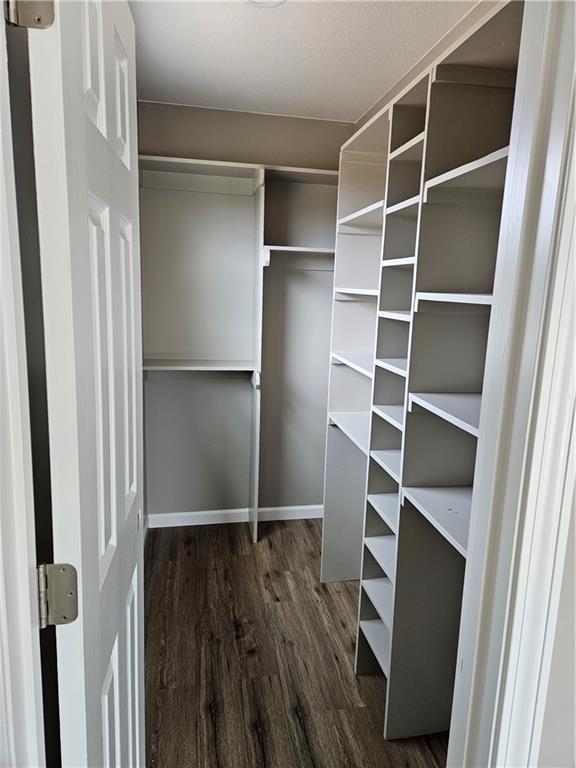 spacious closet featuring dark hardwood / wood-style floors