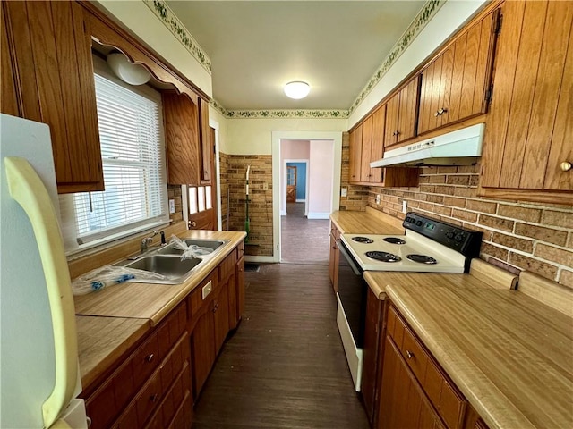 kitchen featuring sink, dark hardwood / wood-style flooring, and white appliances