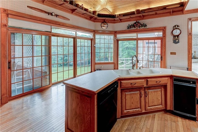 kitchen featuring dishwasher, light wood-type flooring, and sink