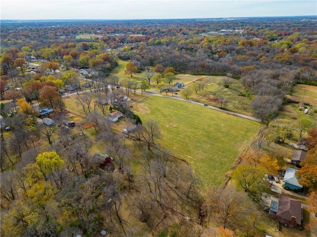 bird's eye view