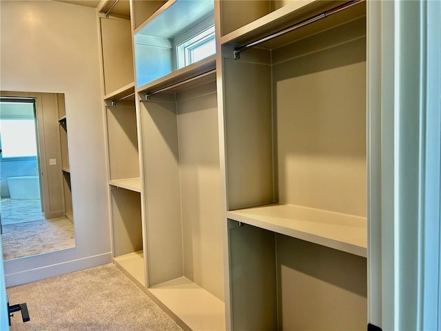 spacious closet with light colored carpet