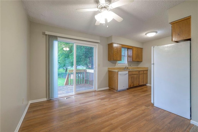 kitchen with sink, white appliances, a textured ceiling, ceiling fan, and light hardwood / wood-style floors