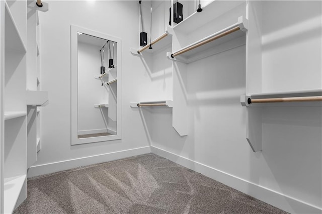 walk in closet with carpet floors