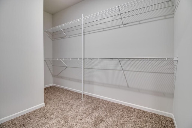 spacious closet with carpet flooring