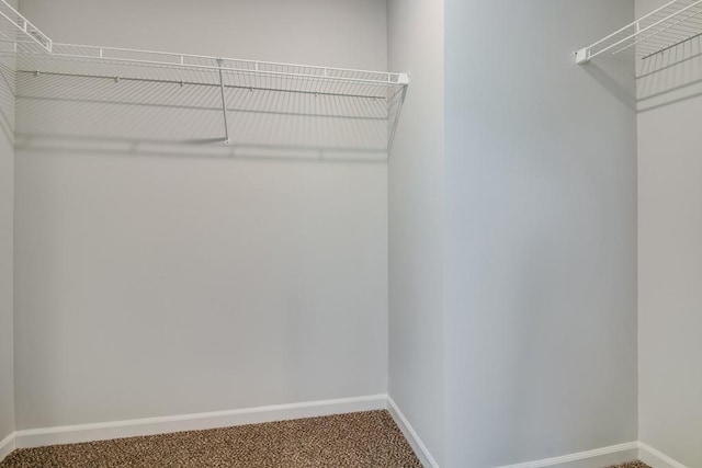 spacious closet with carpet floors