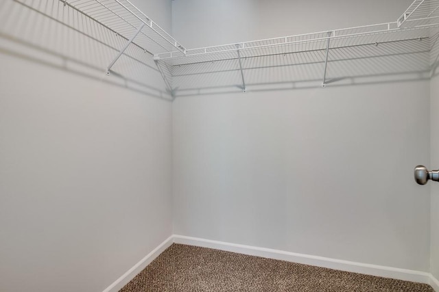 walk in closet with carpet