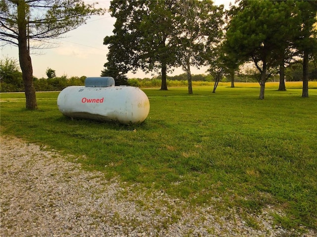 view of community with a lawn