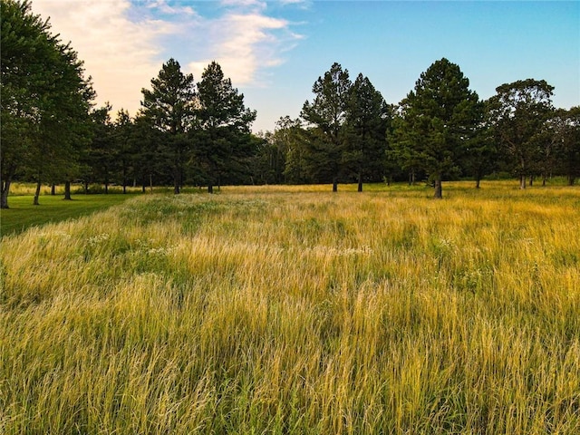 view of landscape with a rural view