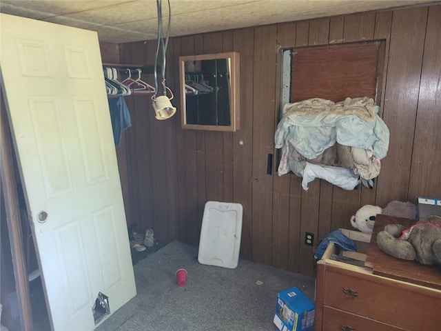 interior space with wood walls and carpet flooring