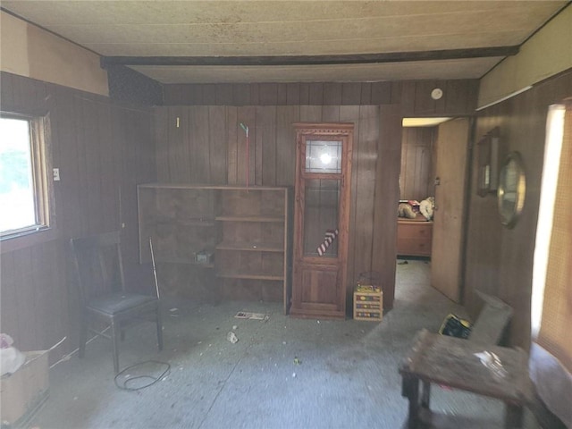 miscellaneous room with wood walls