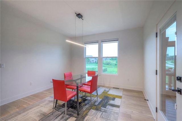 dining room with light hardwood / wood-style flooring