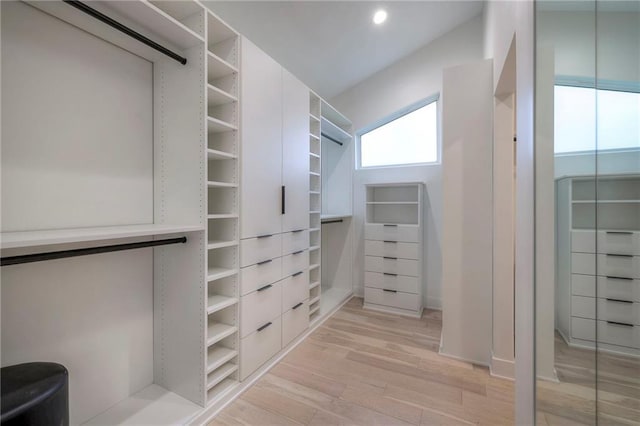 spacious closet featuring light wood-type flooring