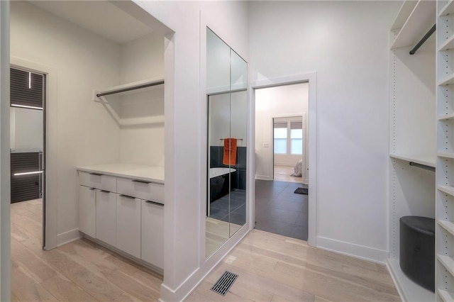 spacious closet with light wood-type flooring