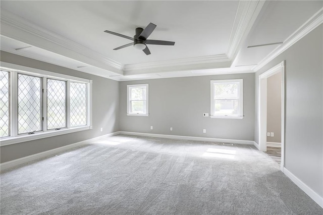 carpeted spare room with crown molding, a wealth of natural light, and a tray ceiling