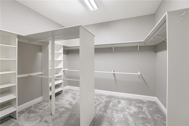 walk in closet with light colored carpet