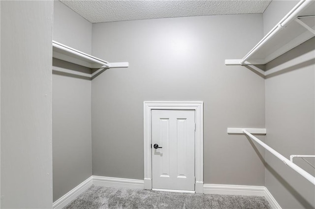 walk in closet featuring carpet