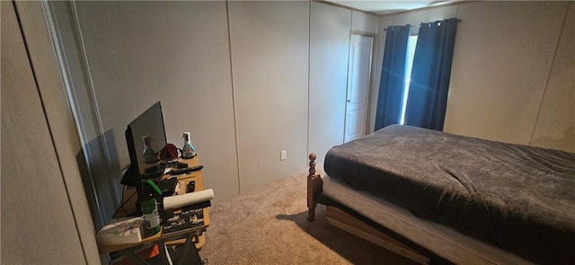 bedroom featuring carpet floors