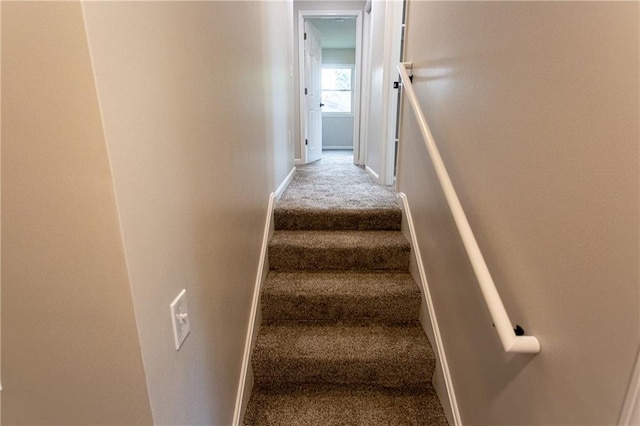 staircase featuring carpet and baseboards