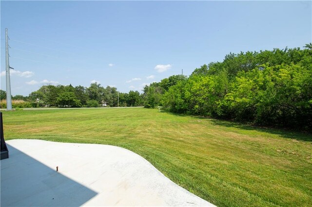 view of yard featuring a patio