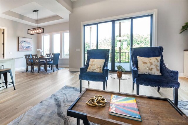 living area featuring light hardwood / wood-style floors, a raised ceiling, and a healthy amount of sunlight