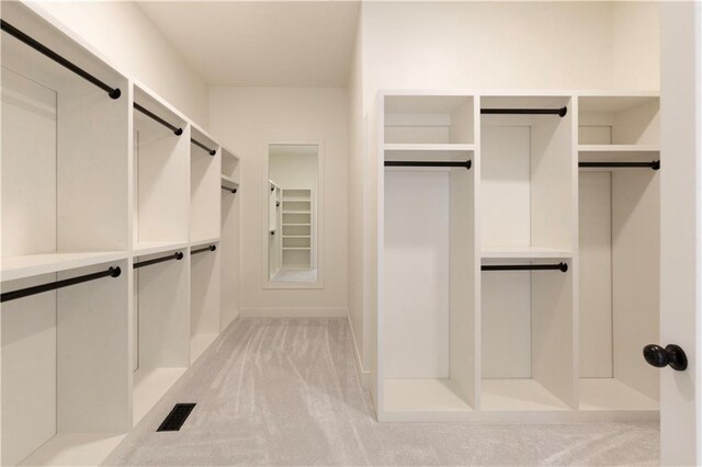 spacious closet with light colored carpet