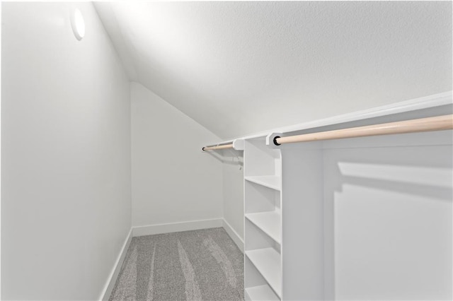 7075 NW Magnus Ct, Parkville, MO 64152 - walk in closet with carpet flooring and vaulted ceiling