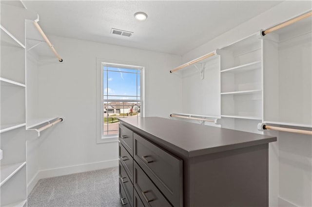 spacious closet with light colored carpet