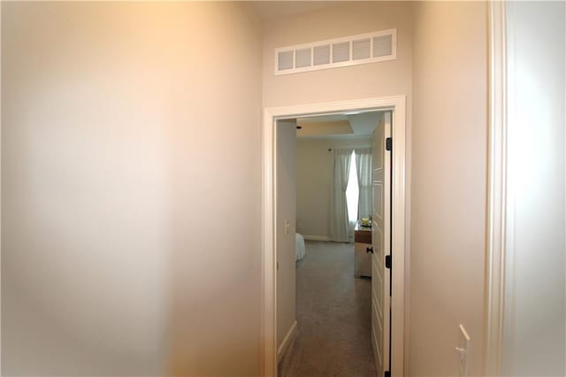 hallway with carpet flooring