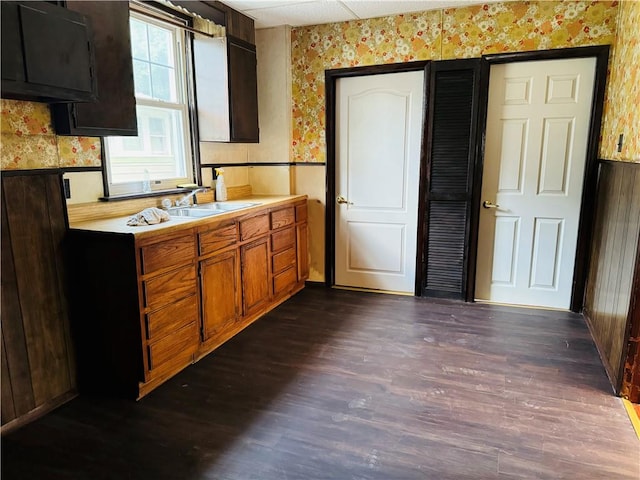 kitchen featuring sink and dark hardwood / wood-style flooring