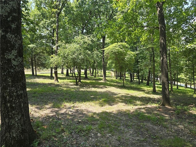 view of landscape