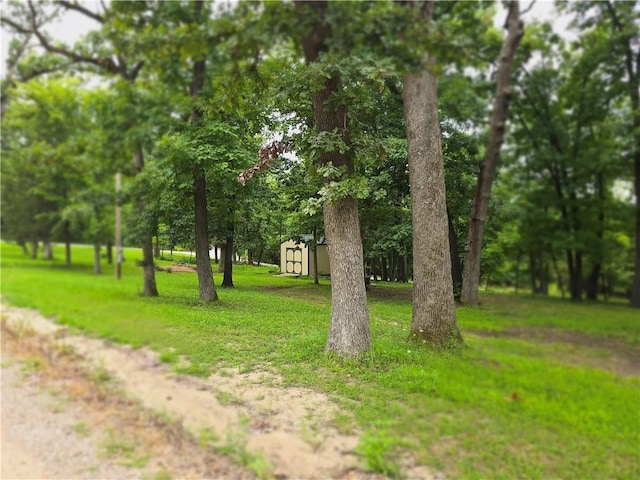 view of yard featuring a storage unit